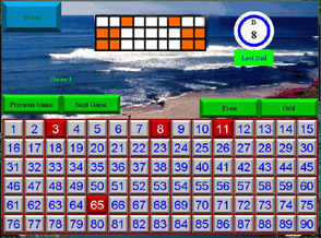 Bingostar interface