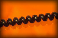 contact